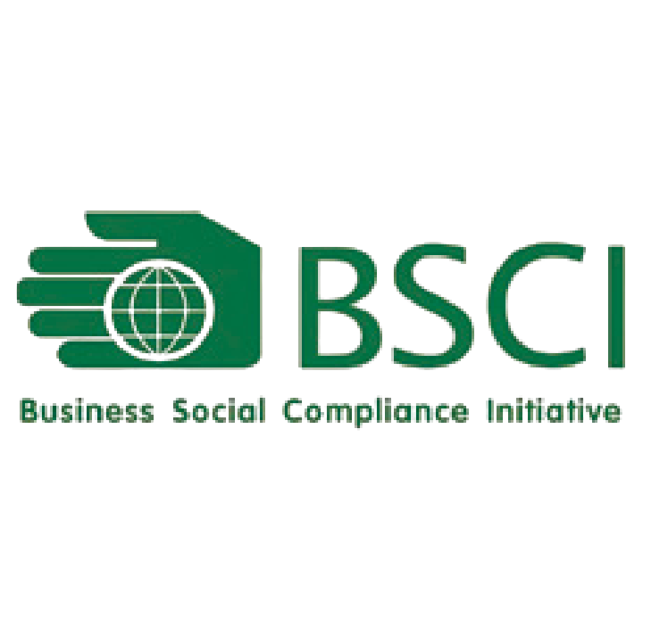 BSCI Facility Audit